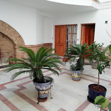 Acogedor Estudio En El Centro De Apartment